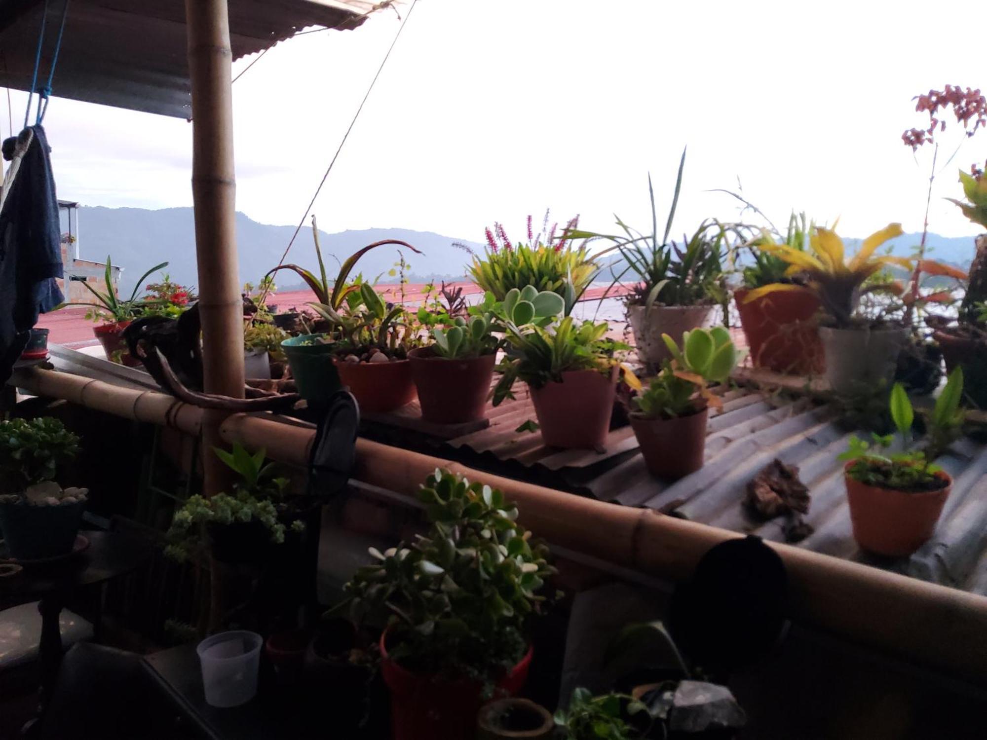 San Agustín Hostal Musica Y Arte מראה חיצוני תמונה