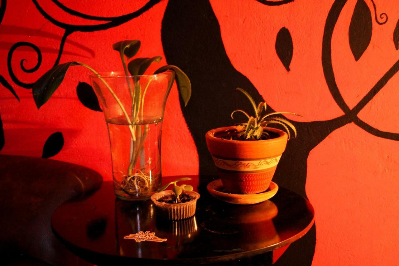 San Agustín Hostal Musica Y Arte מראה חיצוני תמונה